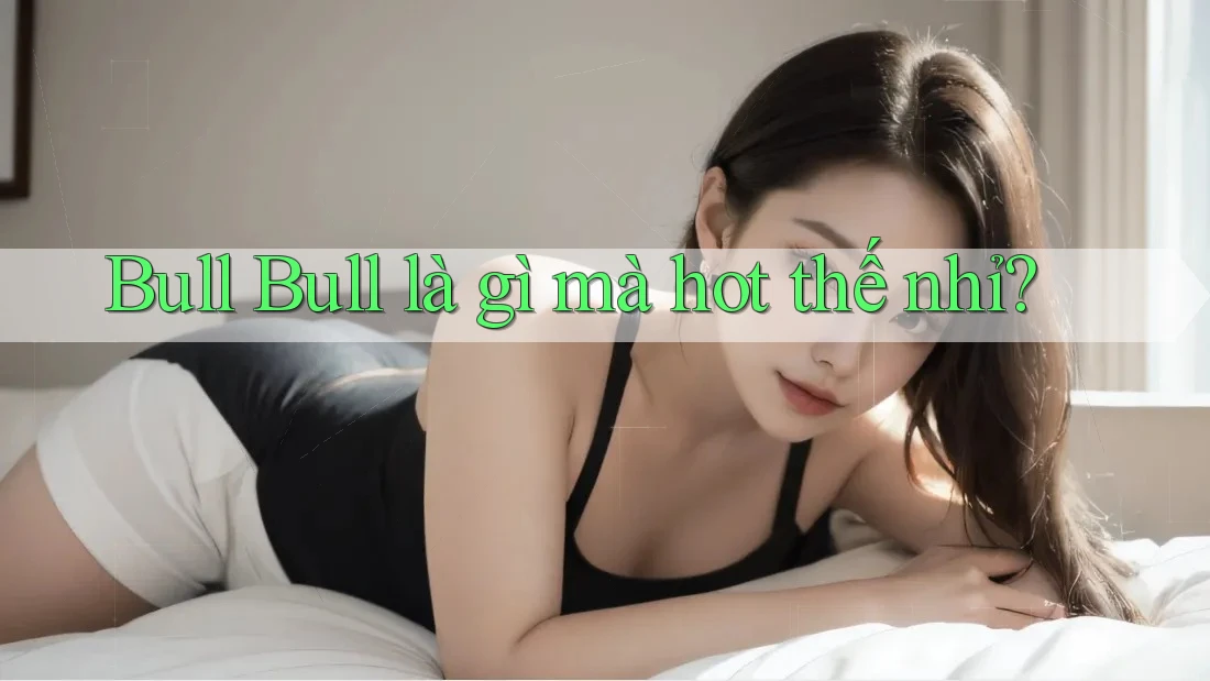 Bull Bull là gì mà hot thế nhỉ? Bull Bull là gì mà hot thế nhỉ?